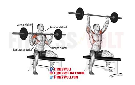 How To Do Seated Barbell Overhead Press Shoulders Fitness Volt
