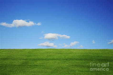 Green Pastures Ii Photograph By Brandon Tabiolo Printscapes
