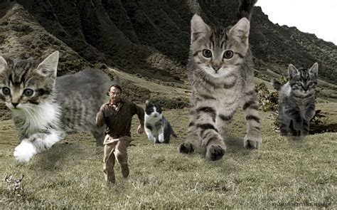 Almost 30 years since it was released, jurassic park remains one of the quintessential blockbuster films of all time. Alguien remplazó los dinosaurios de Jurassic Park con gatos