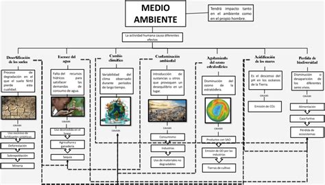 Mapas Conceptuales Del Medio Ambiente Descargar