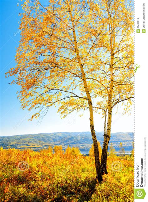 Beautiful Autumn Landscape Stock Photos Image 37481223