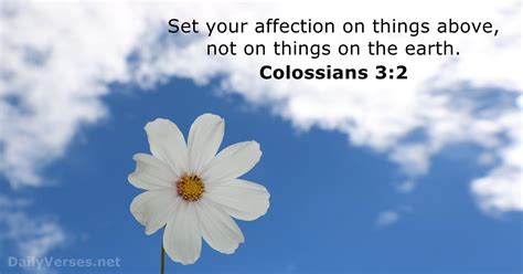 Colossians 32 Bible Verse Kjv