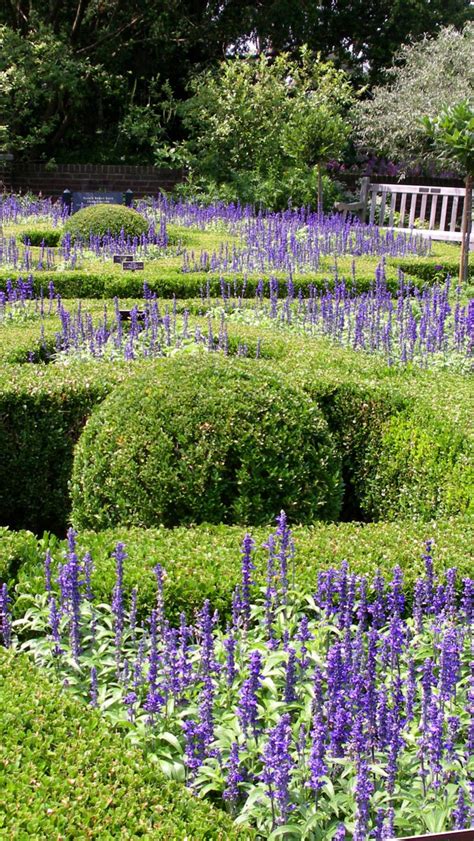 Sie benötigt viel sonne und einen trockenen, kalkhaltigen und sandigen boden. Lavendel - Augenweide in jedem Garten | Garten Europa