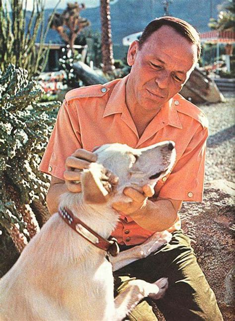 A Man Petting A Dog On The Nose While Sitting In Front Of A Cactus