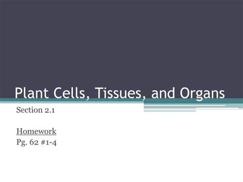 Ppt Plant Cells Tissues And Organs Powerpoint Presentation Free