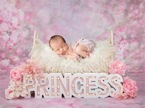 All his shenanigans and mischiefs ought to be photographed! Newborn Photography Digital Backdrop Princess Bed - Sweet ...
