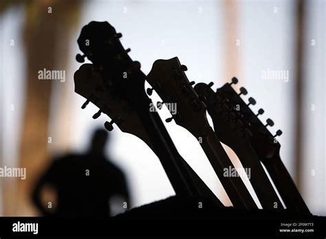 Electric guitars are shown under swaying palm trees at the Coachella