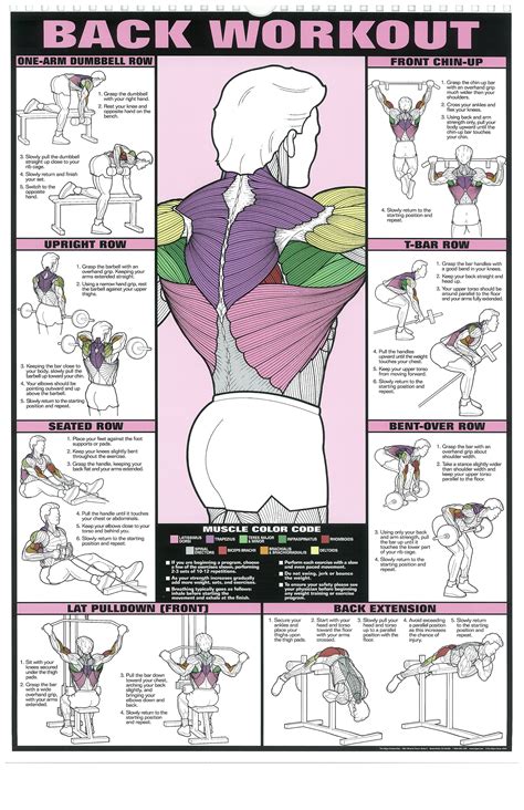 The Absolute Beginners Guide To Exercise Back Workout Men Back Workout