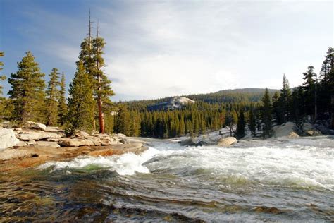 713001 Tuolumne Parks Rivers Usa Yosemite California Rare