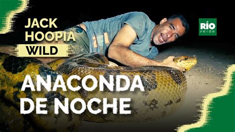Anaconda De Noche Jack Hoopia Wild Youtube