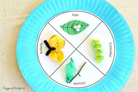 Butterfly Life Cycle Paper Plate Craft Butterfly Life Cycle Craft