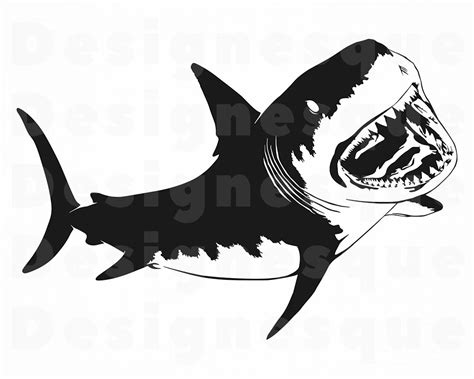 Free Free 209 Shark Clipart Svg SVG PNG EPS DXF File