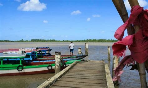 3 Hours Magical Encounters On Dolphins And Beach Tour In Paramaribo