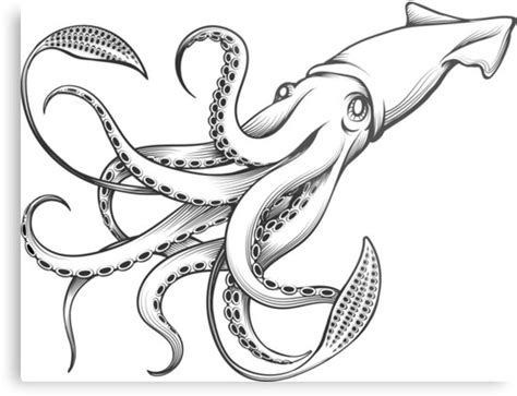 Some of the coloring page names are chapter i, giant squid engraving illustration metal s by, marine animal coloring squid coloring to, squid coloring, 76 best images about mind blowing science on, squid. "Giant Squid Engraving Illustration" Metal Prints by ...