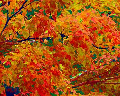 Fall Colors Abstract By Wayne Logan