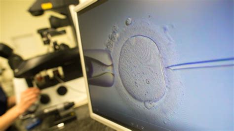 Human Eggs Grown In Laboratory For First Time Offering Hope For New Fertility Treatment Itv News