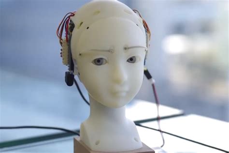 Seer Simulative Emotional Expression Robot Un Visage Robot Pour
