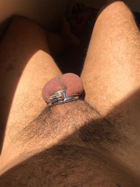 Gay Chastity Retweets K On Twitter Rt Aashpup Mornin Sun