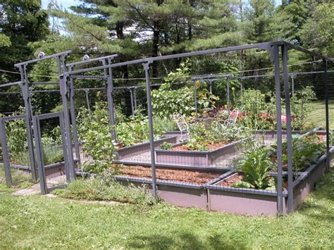 Vegetable Garden Fence Ideas Hawk Haven