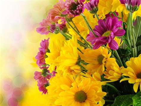 Beautiful Flowers Bouquet With Yellow And Purple Green Flower Petals