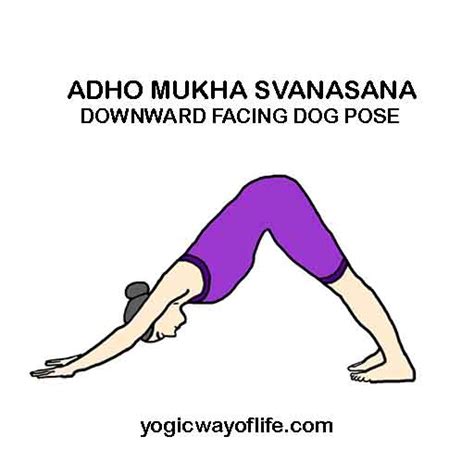 The default sorting procedure is to compare each letter from left to right. Yoga Poses - Asana List with Images - Yogic Way of Life