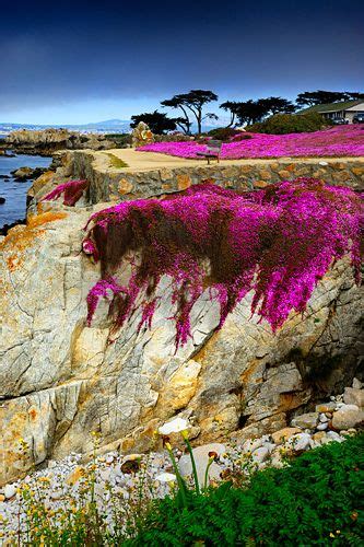 Lovers Point Pacific Grove Monterey California By Tom Stoncel