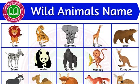 30 Wild Animals Name In English With Images