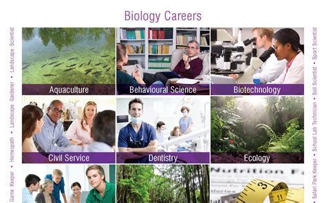 Biology Careers Poster With Over 18 Industries