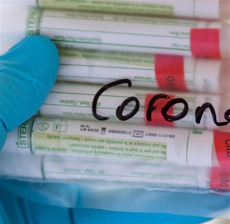 Neue möglichkeiten für die freie szene schaffen. Geringfügig mehr Corona-Neuinfektionen in Rheinland-Pfalz ...