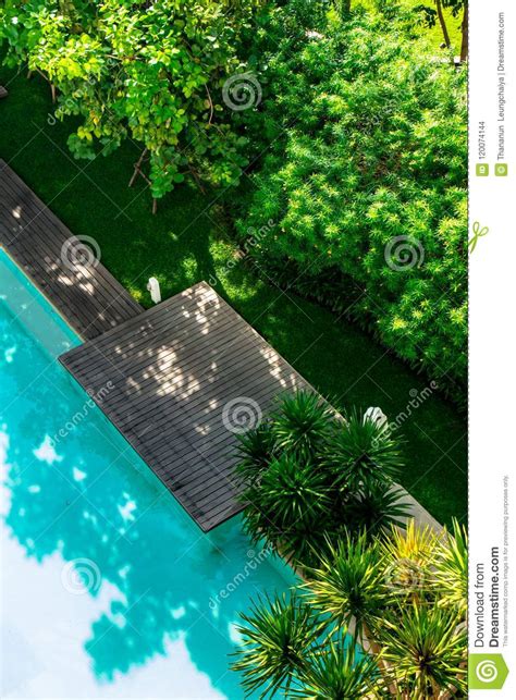 Flatlay Sunbathing Terrace Pool Side Stock Photo Image Of Lounger