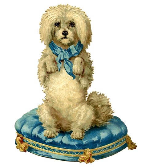 Darling Dog On Blue Tufted Cushion The Graphics Fairy