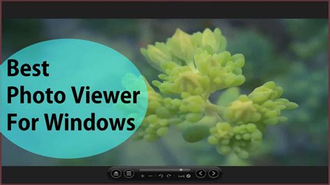 12 Best Photo Viewer For Windows 10 Pc In 2024