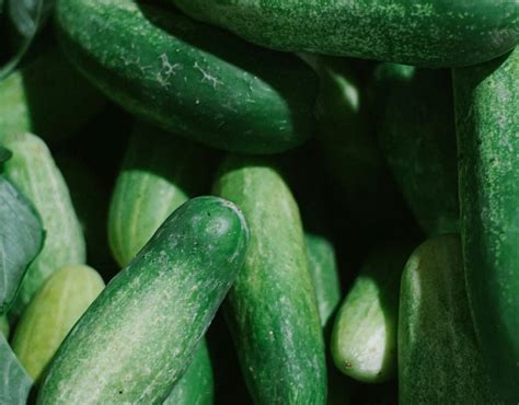 allplants are cucumbers good for you