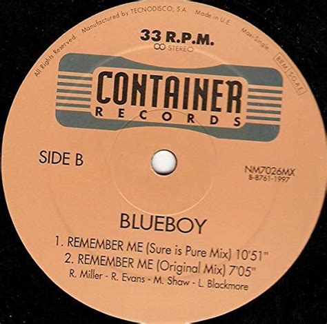 Blue Boy Remember Me Remixes Vinyl Music