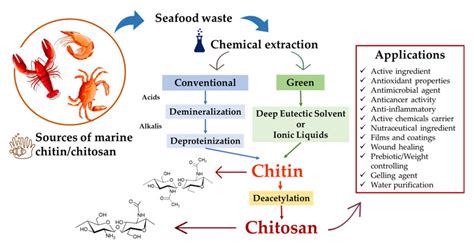 Summary Of Chitin Chitosan Extractions And Applications Download Scientific Diagram