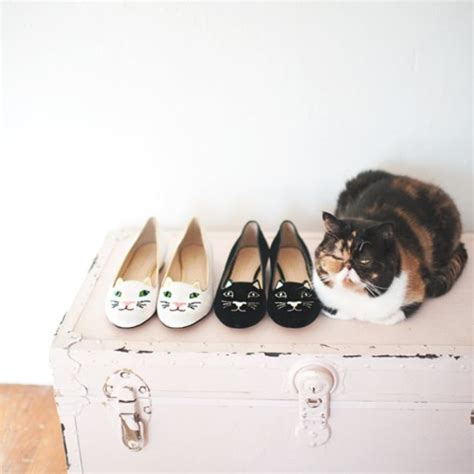 Cat Fashion On Tumblr
