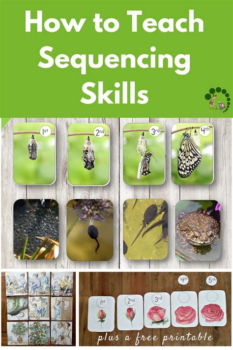 How To Teach Sequencing Skills To Children Plus A Free Printable