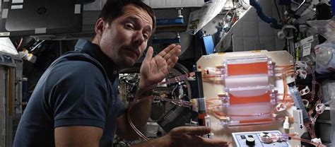 Combien D Astronautes Dans L Iss - L'astronaute Thomas Pesquet dévoile son potager d'intérieur dans l'ISS