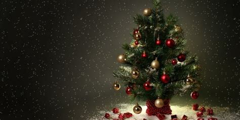 Untuk hari natal memang harus dirayakan dengan sangat ramai sekali di rum. 6 Alternatif pohon natal paling kreatif untuk akhir tahun 2014 | merdeka.com