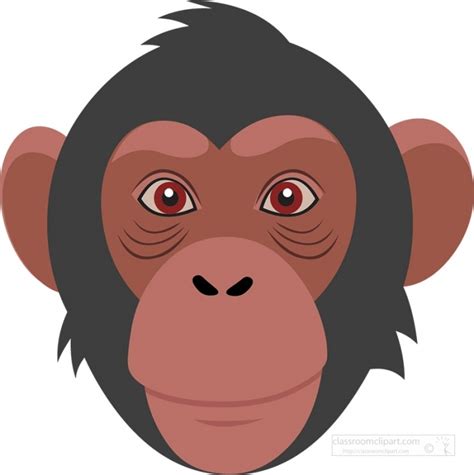 Serious Looking Monkey Face Classroom Clip Art