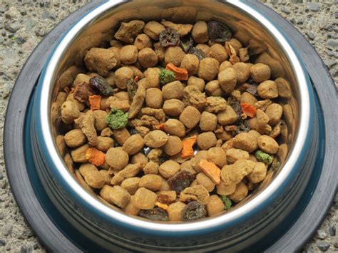 Where is the food made? Freshpet Natural Pet Food Available at Target | All Things ...