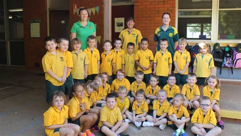 Kindergarten Students Settle Into Dubbo North Public School Daily