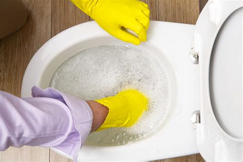 How To Fix An Overflowing Toilet Step By Step Guide Boss