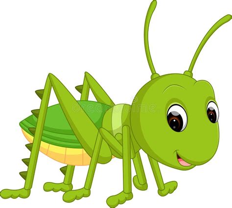Insect Cricket Cartoon Stock Illustration Illustration Of Cricket