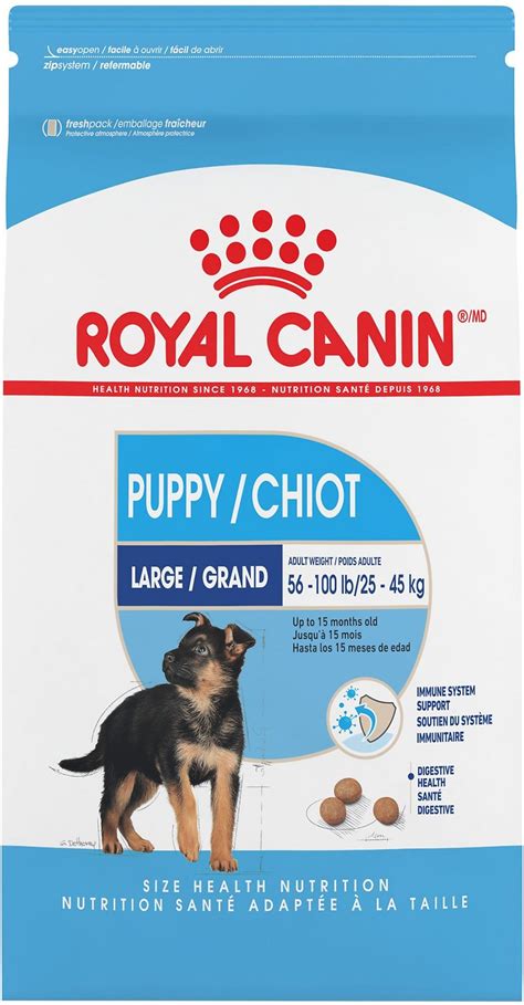 Best dry dog food for seniors: ROYAL CANIN Large Puppy Dry Dog Food (Free Shipping) | Chewy