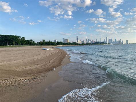 Are Dogs Allowed On Chicago Beaches