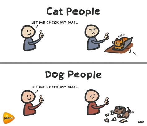 Cat People Vs Dog People Do You Recognize These Moments Cat Vs Dog