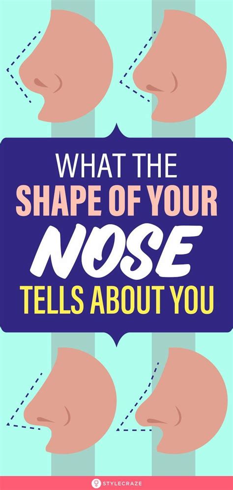 What The Shape Of Your Nose Tells About Your Personality In Nose