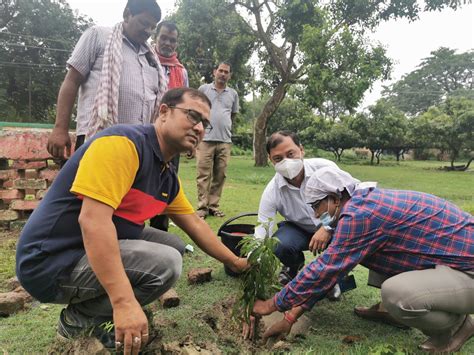 विश्व पर्यावरण दिवस हमारे पर्यावरण की सुरक्षा के लिए विश्वव्यापी जागरूकता और कार्रवाई को प्रोत्साहित करने के लिए संयुक्त राष्ट्र का सबसे महत्वपूर्ण दिन है। विश्व पर्यावरण दिवस पर प्रखंड परिसर में डीएसओ ने पौधा रोपण ...
