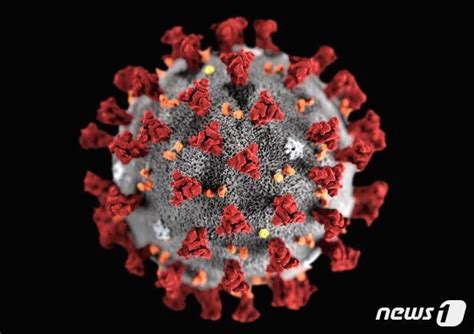 코로나19 확진환자의 이동경로 등 정보공개 지침에 따라 확진자의 성별, 연령, 국적, 상세 거주지 등 개인을 특정하는 정보는 공개하지 않으며, 이동 경로 내 모든 접촉자가 파악된 경우 공개하지 않음을. "코로나19 무력화할 항체 찾았다"... 전세계 공개(종합) - 머니 ...